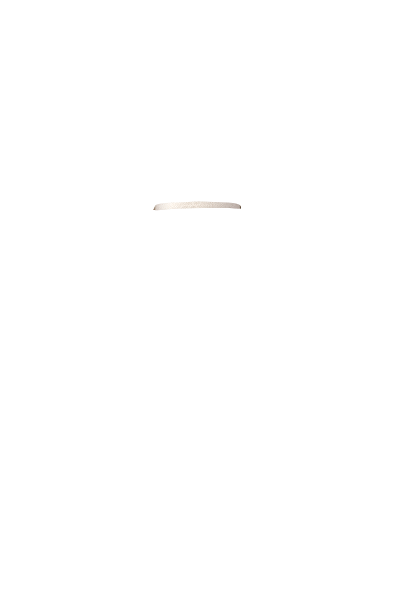 0327172959_67e50c879effe.png