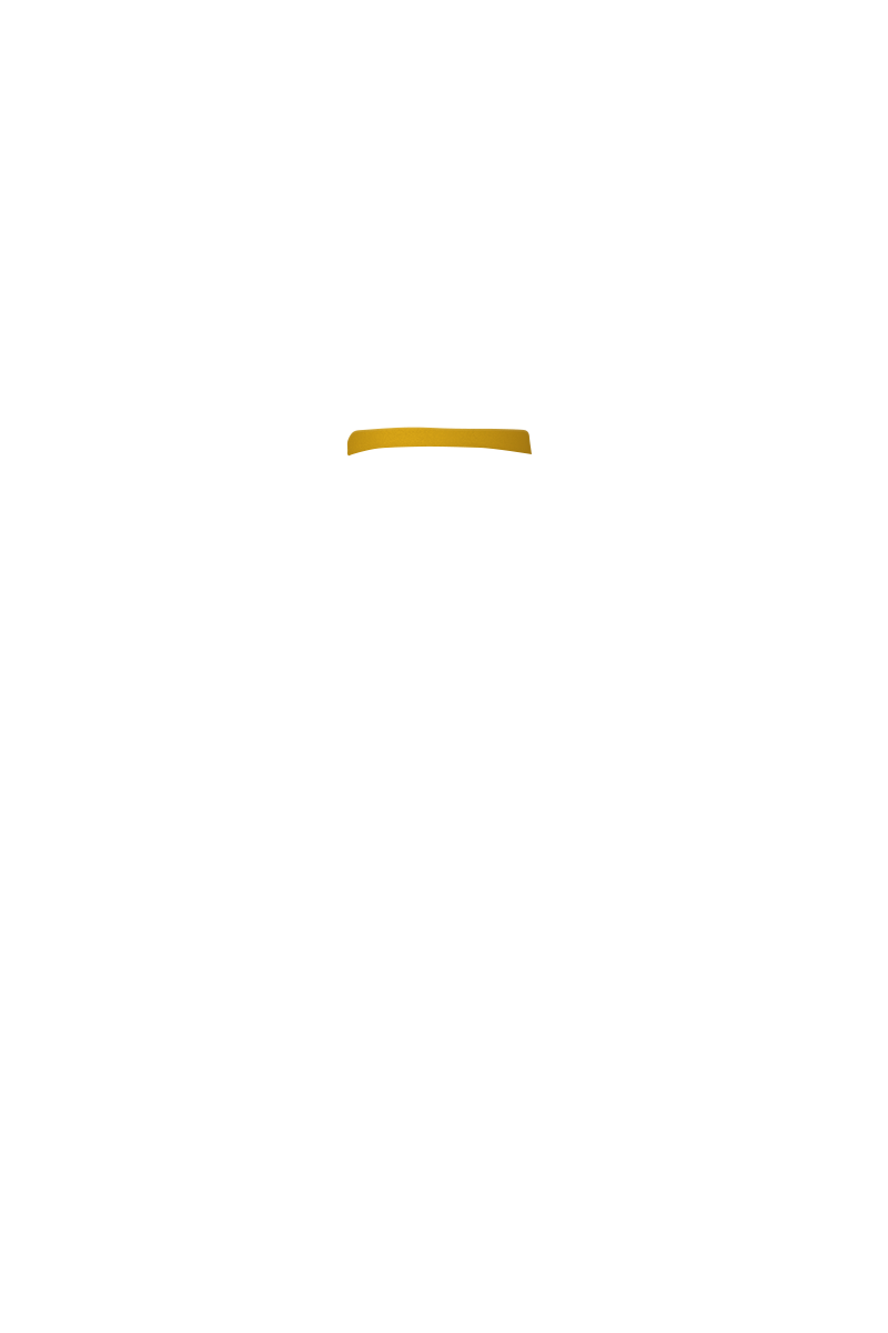 0805101518_66b027a6bc209.png